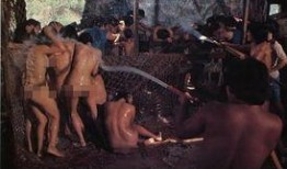 电影打蛇在线观看,惊心动魄的蛇影追踪之旅